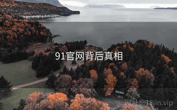 91官网背后真相