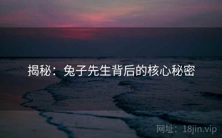 揭秘：兔子先生背后的核心秘密