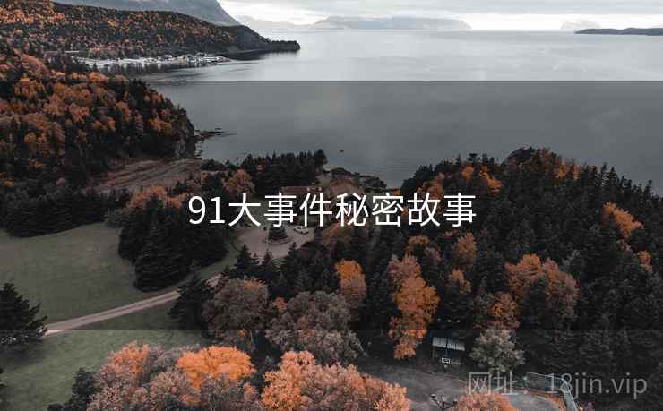 91大事件秘密故事